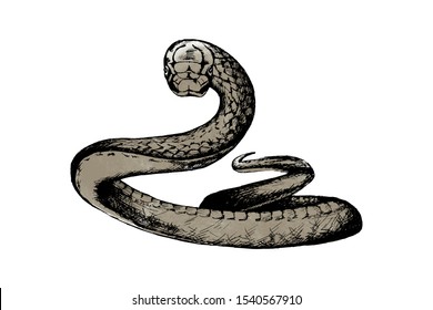 31,327 Snake paint Images, Stock Photos & Vectors | Shutterstock