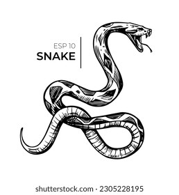 Snake sketch, reptile vector illustration, black outline on transparent background