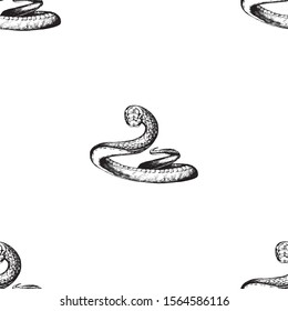 Snake sketch seamless pattern. Animal background black and white