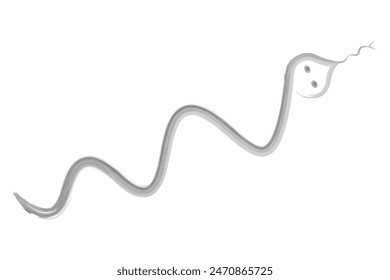 Snake. Sketch. Vector illustration. Hand drawn watercolor drawing. Outline on a white isolated background. Long reptile with tongue. Coloring book for children. Idea for web design.