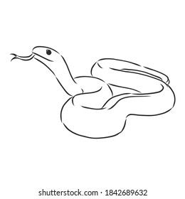 Snake sketch, snake, vector sketch illustration wild animal
