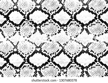 Snake skin abstract monochrome pattern