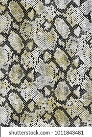 Snake Skin Background