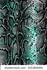 Snake skin background