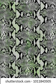 Snake skin background