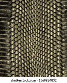 Snake skin gold pattern. Texture snake. Fashionable print. Fashion and stylish background