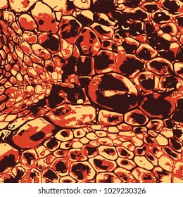Snake skin with the pattern