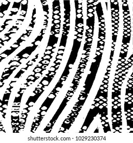 Snake skin with the pattern