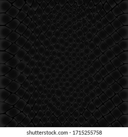 
Snake skin pattern  Black viper  drawing the skin  Reptile surface monochrome leather texture  Animal background for printing  Vector wallpaper