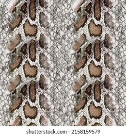 Snake skin pattern Pattern brown spots. Hand painted Snake skin print. illustration animal 