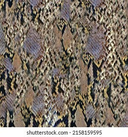 Snake skin pattern Pattern brown spots. Hand painted Snake skin print. illustration animal 