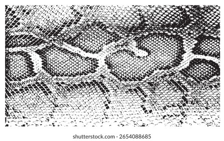 Snake skin pattern and repeating Seamless. Animal print and textile design.