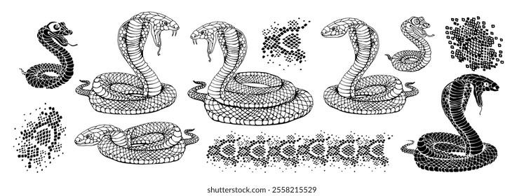 Snake and snake skin pattern set. Hand drawn viper linear vector illustration. 