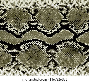 Snake skin pattern. Texture snake. Fashionable reptile print. Fashion and stylish background
