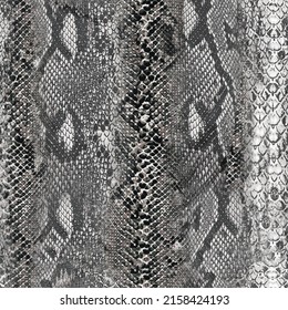 Snake skin pattern texture repeating seamless vector. Texture snake. Animal print, snake skins design textile