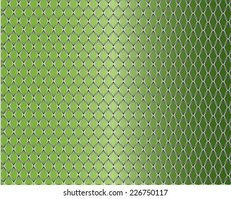 Snake skin, reptile,vector