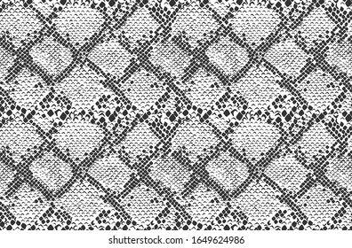 Snake skin seamless background. Python. Vector illustration.