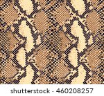 Snake skin seamless vector pattern. Reptile seamless texture. Animal print.