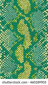 Snake skin seamless vector pattern. Reptile seamless texture. Animal print.