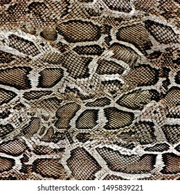 snake skin texture seamless pattern design 
