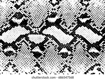 Snake skin texture.pattern black on white background. Vector illustration
