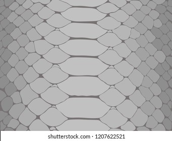 reptile scale texture