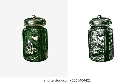 A snake with a skull in a jar. Witch poison. Arcane Esoteric icon. Vintage engraving sketch. Doodle outline. Hand drawing. Vector illustration.