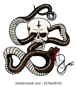 Snake with a skull in Vintage style. Serpent cobra or python or poisonous viper. Engraved hand drawn old reptile sketch for Tattoo. Anaconda for sticker or logo or t-shirts.
