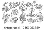 Snake species line icons set. Outline hand drawn wild and Zoo cobra and rattlesnake, python and anaconda, copperhead snake. Nature, wildlife mascot, serpent collection icons vector illustration