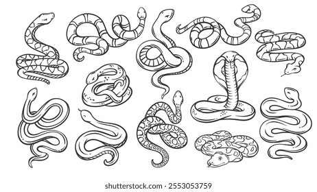 Conjunto de iconos de línea de especies de serpiente. Esquema dibujado a mano salvaje y Zoo cobra y serpiente de cascabel, pitón y anaconda, serpiente de cabeza de cobre. Naturaleza, mascota de la vida silvestre, colección de serpiente iconos Ilustración vectorial