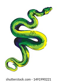 
Snake. Stylish multi-colored pattern. Drawing in the style of pop art.