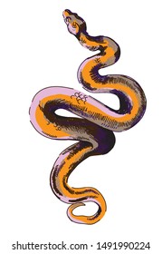 
Snake. Stylish multi-colored pattern. Drawing in the style of pop art.