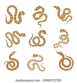 Snake. Stylized chinese zodiac new year symbols lizard or snake in different poses for logos or badges design recent vector set