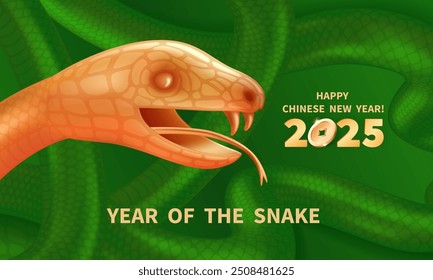 Snake is a symbol of the 2025 Chinese New Year. Realistic 3d figure of Golden Snake on a green background. Holiday vector illustration of asian Zodiac Sign Snake. Oriental concept for lunar calendar