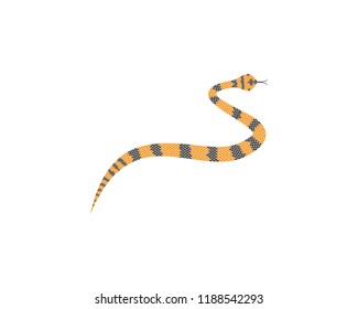 Snake symbol illustration