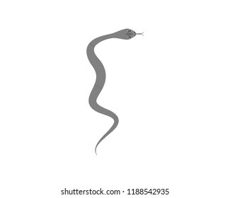 Snake symbol illustration