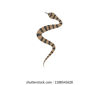 Snake symbol illustration