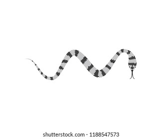 Snake symbol illustration
