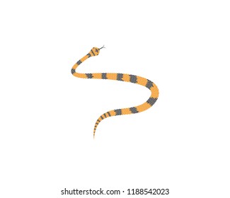 Snake symbol illustrationv