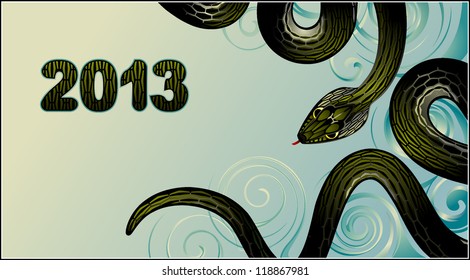 snake symbol New Year 2013. vector illustration