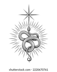 Snake Symbol of Wisdom Esoteric Tattoo Isolated on White. Vector illustration.