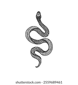 Snake tattoo design isolated on white