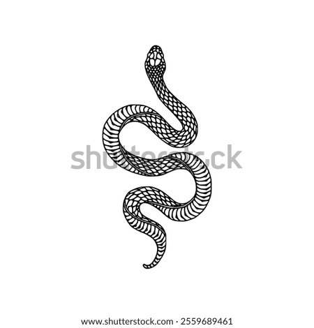 Snake tattoo design isolated on white