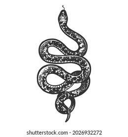 Snake tattoo sketch engraving vector illustration. T-shirt apparel print design. Scratch board imitation. Black and white hand drawn image.