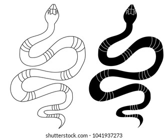 snake tattoo style vector illustration.Lampropeltis triangulum vector.Sticker and hand drawn snake for tattoo.snake Reptile illustration.