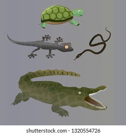 snake turtle crocodile snake alligator vector