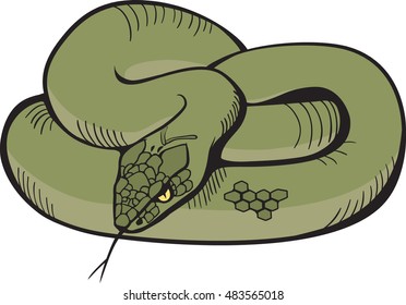 Snake, vector