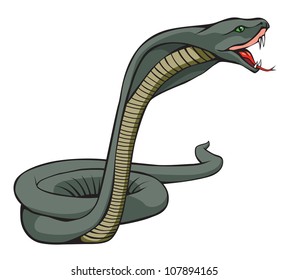 The snake vector design on white background.