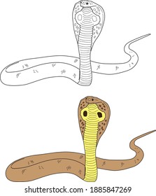 Snake vector drawing animal vector drawing, cartoon vector, line art and color
