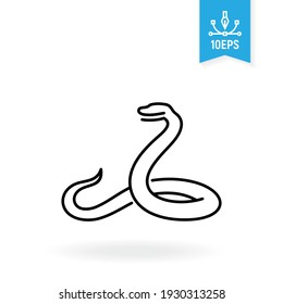 Snake vector icon. Serpent symbol. Python, boa illustration.